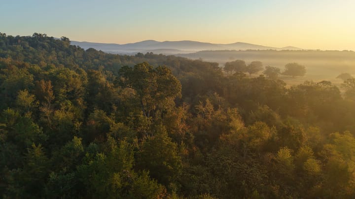 Dji 20251002074354 0685 D Jpg