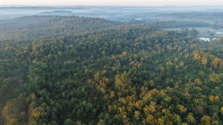 Dji 20251002073745 0665 D Jpg