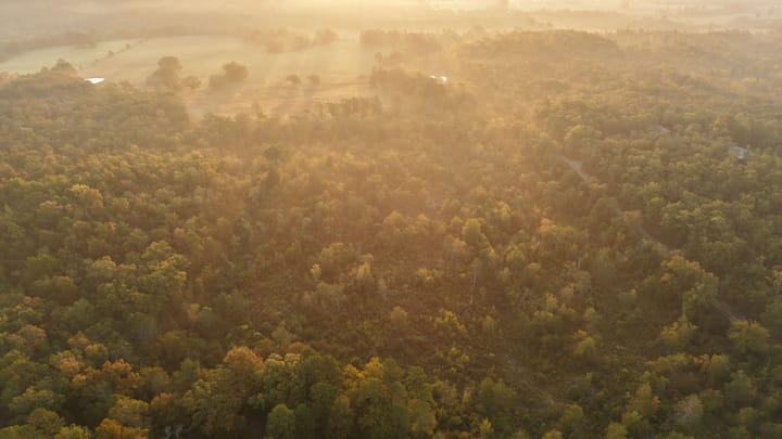 Dji 20251002073835 0667 D Jpg