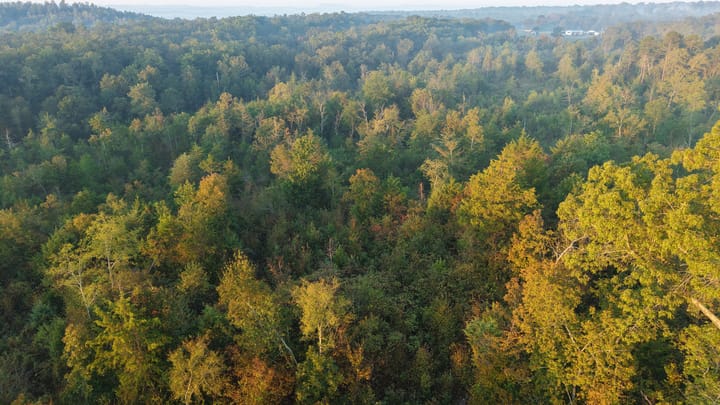 Dji 20251002074159 0679 D Jpg