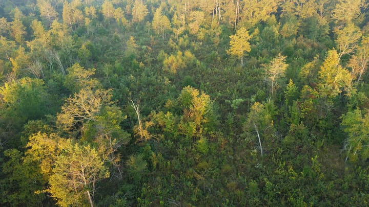 Dji 20251002074259 0683 D Jpg