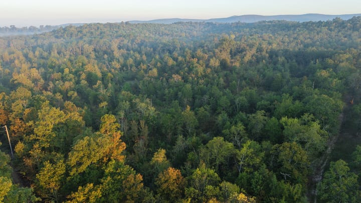 Dji 20251002074042 0673 D Jpg