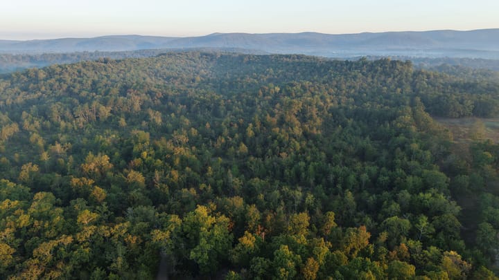 Dji 20251002074025 0672 D Jpg