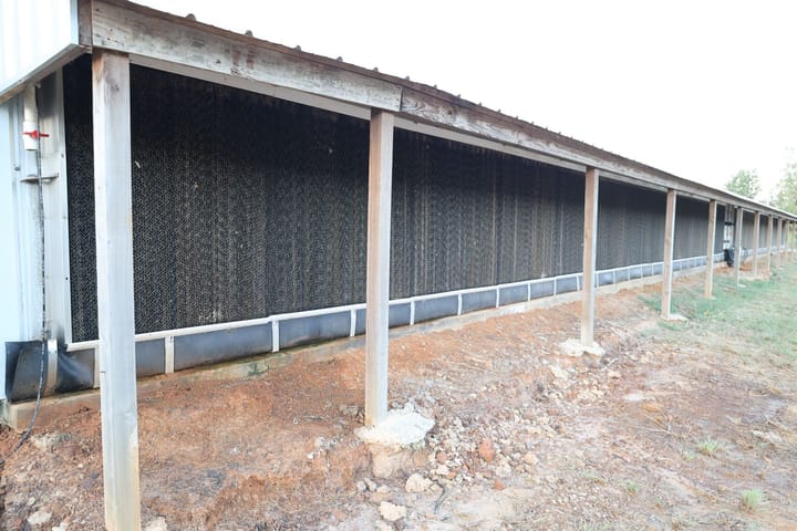 Farm12