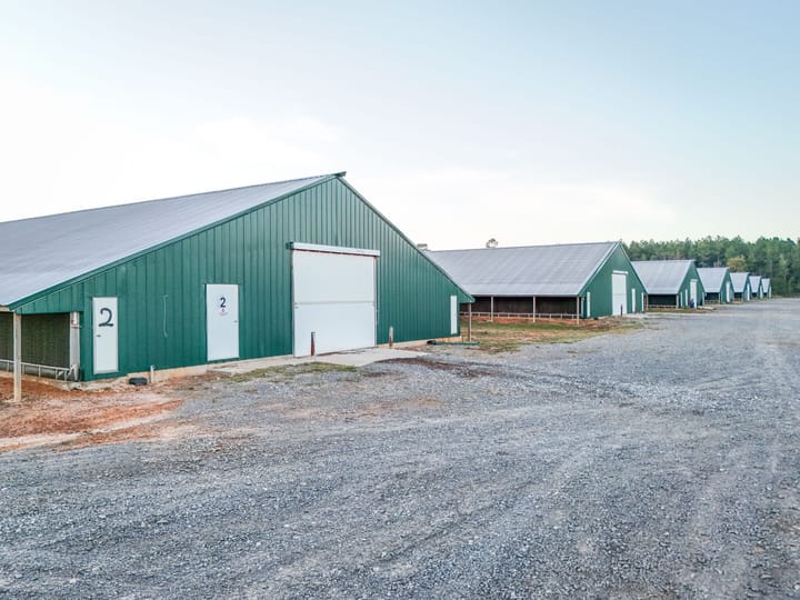 Farm8