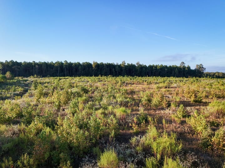 Land1