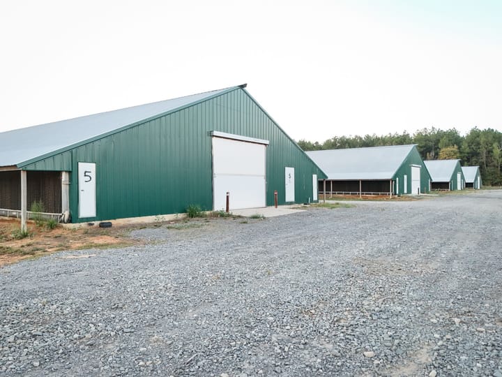 Farm6