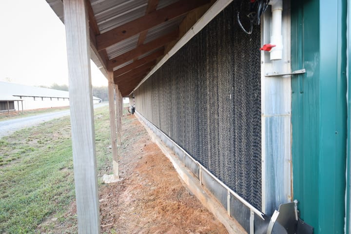 Farm11