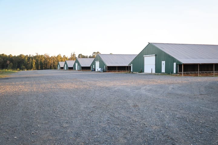 Farm15