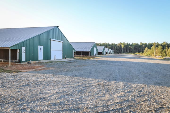 Farm19
