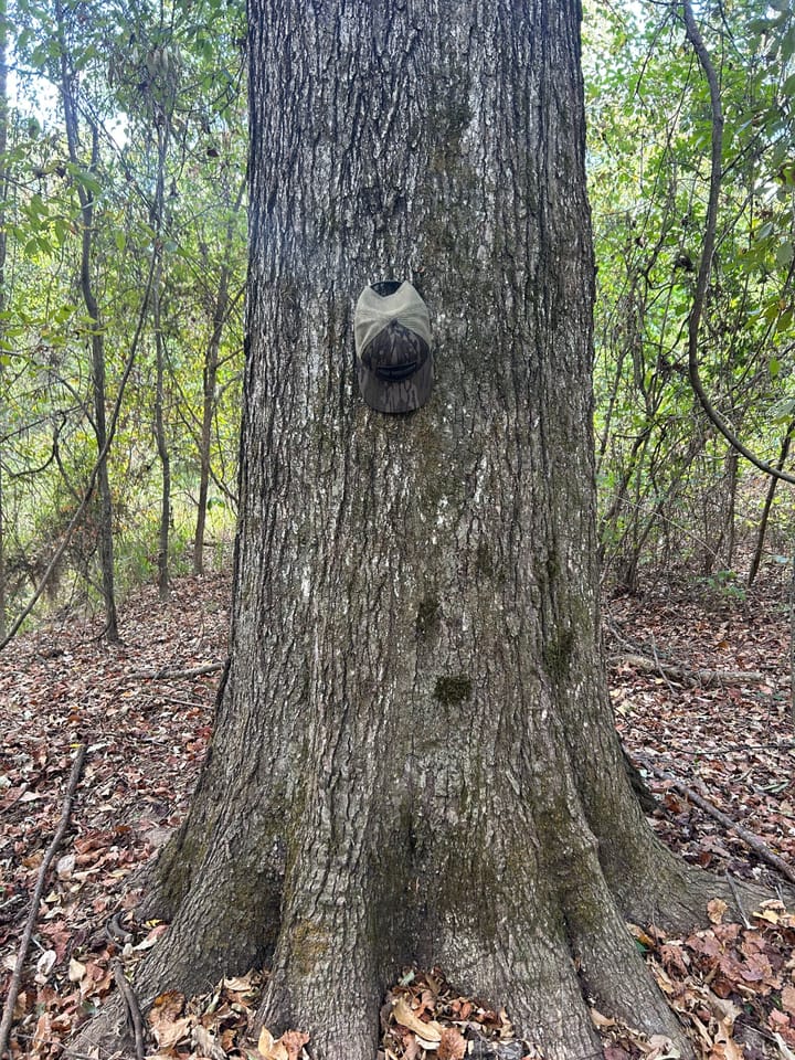 Img 2590 Jpeg