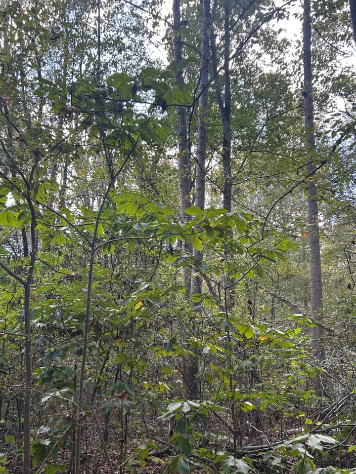 Img 2602 Jpeg
