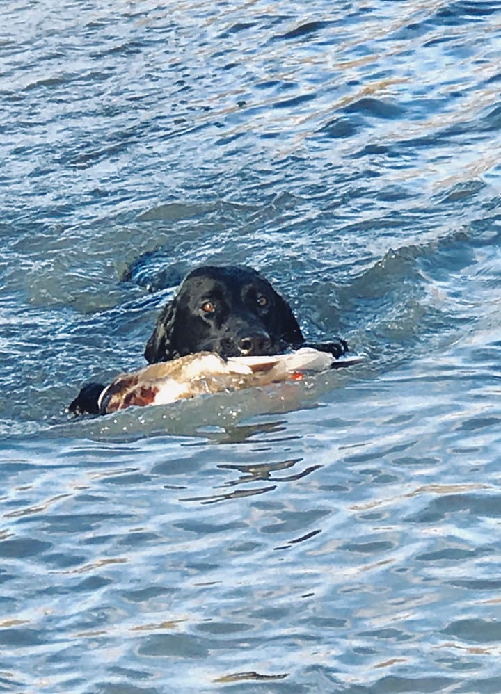 Img 1673 Jpeg
