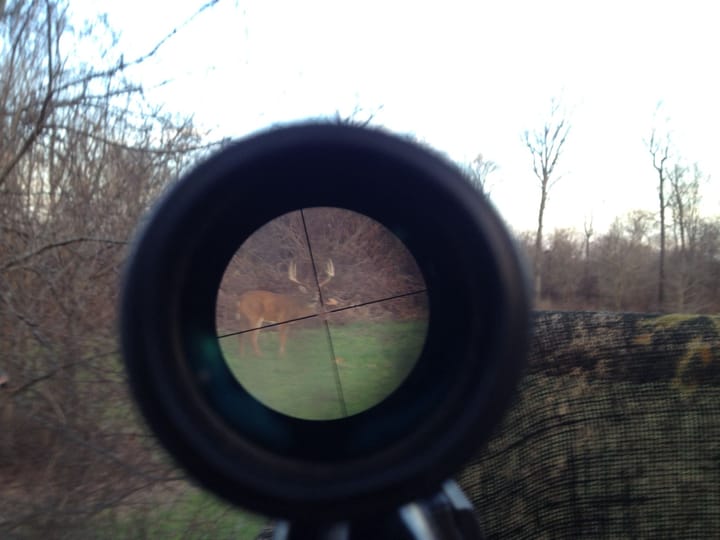 Img 0233 1 Jpg