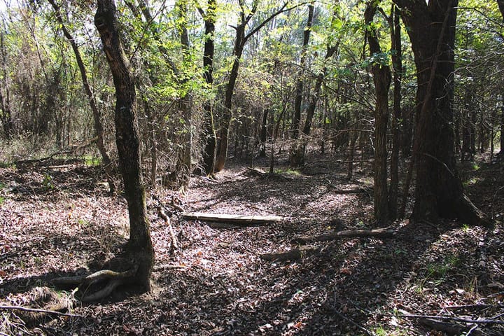 Img 0722