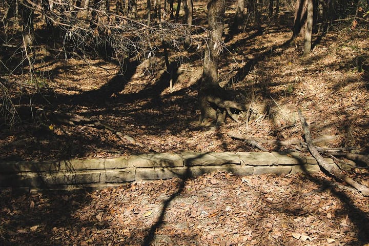 Img 0719
