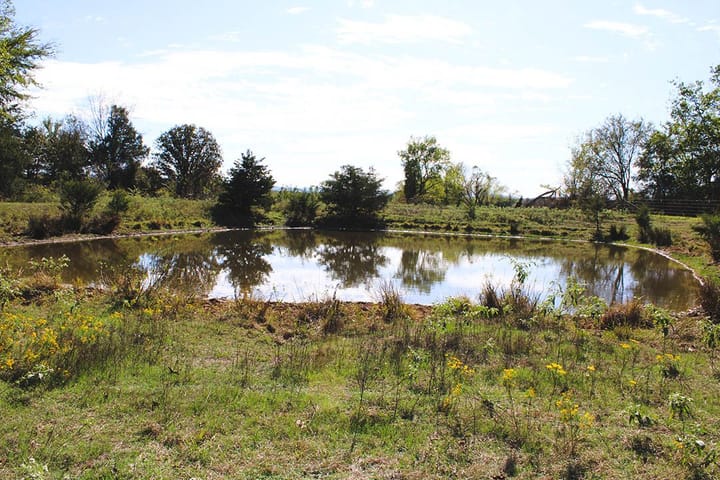 Img 0699