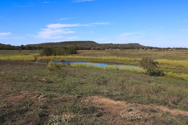 Img 0755