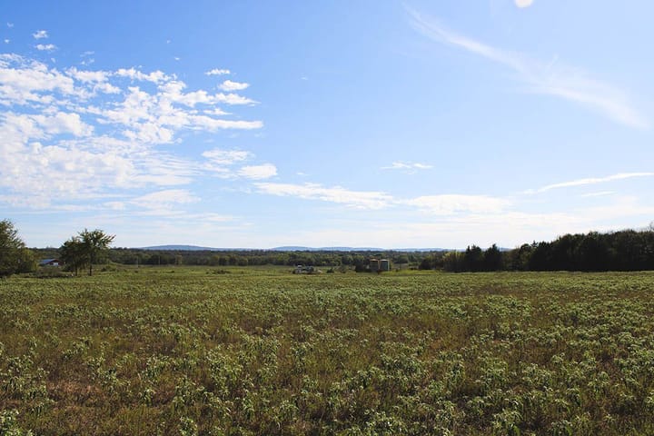 Img 0726