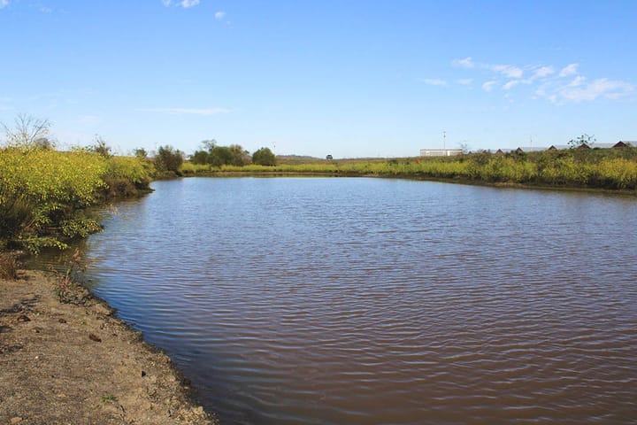 Img 0777