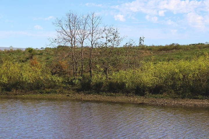 Img 0778