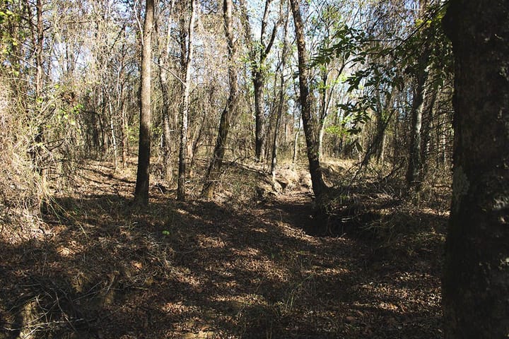 Img 0715