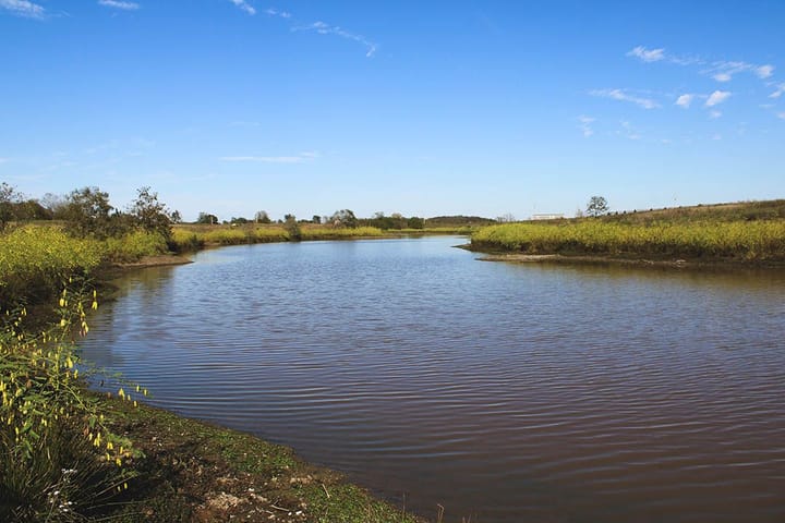 Img 0765
