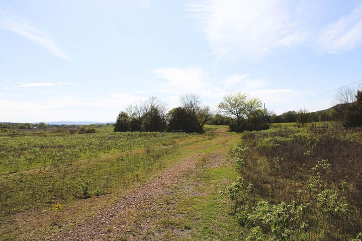 Img 0730