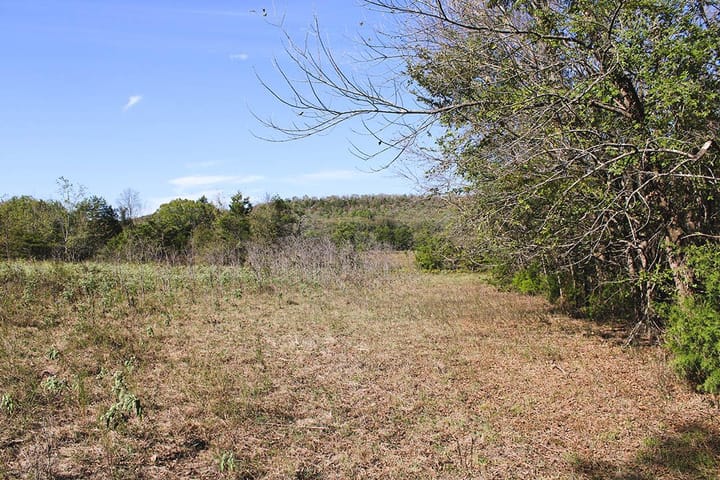 Img 0723
