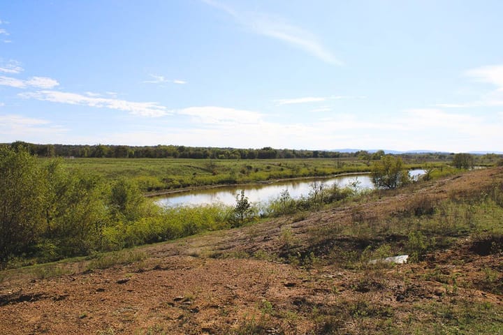 Img 0733