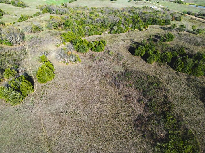 Dji 0624