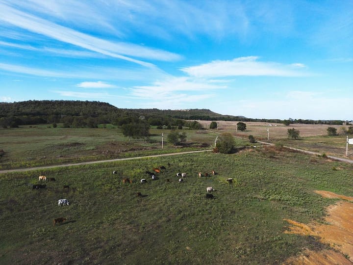Dji 0613