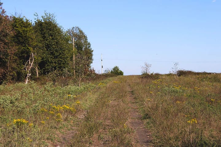 Img 0748