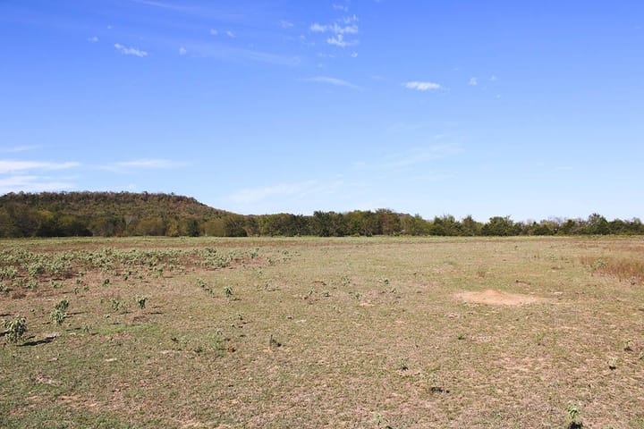 Img 0729