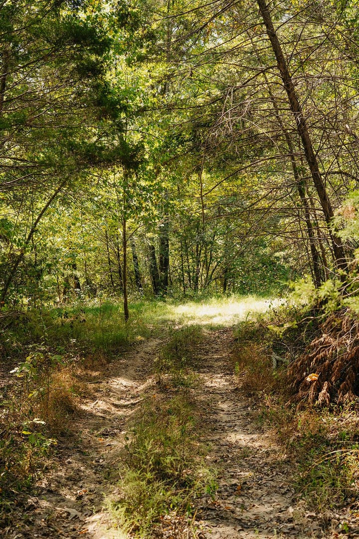 23 1 Trail View