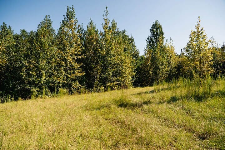 20 Pasture View