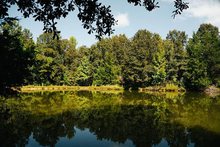 17 Regular View Of Pond