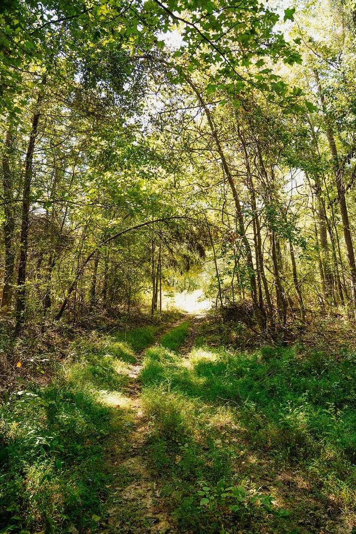 23 Trail View