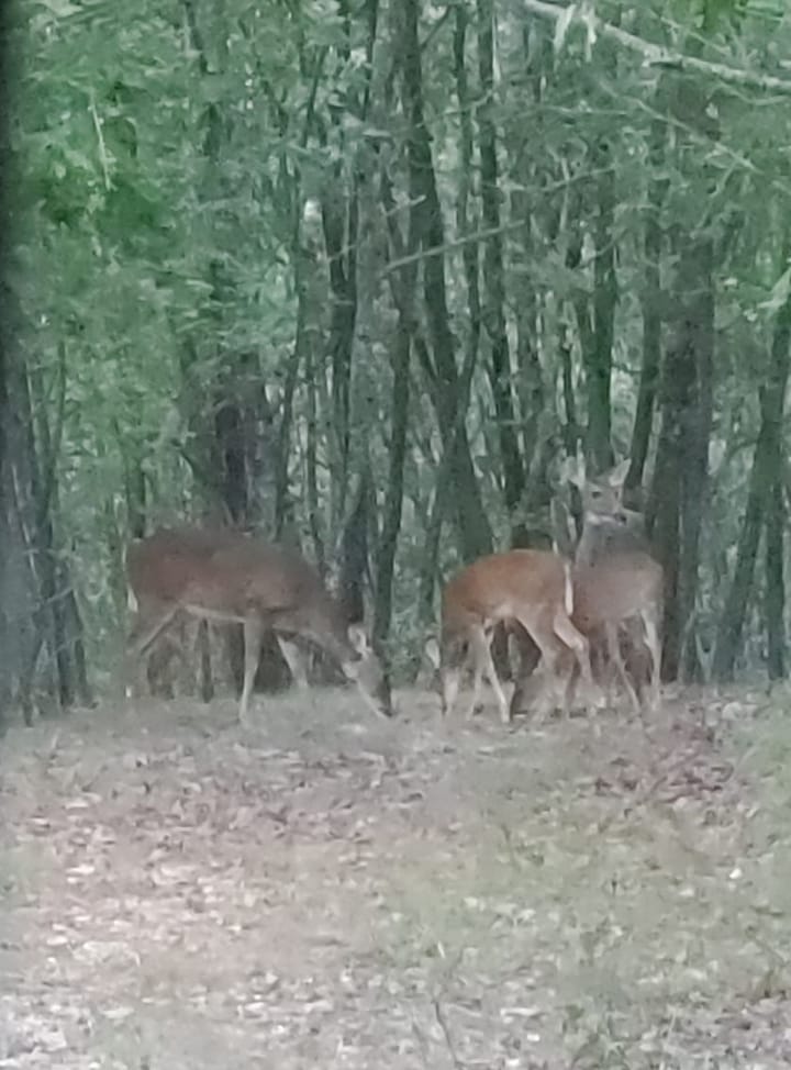 64e26045 4a6a 4f09 807f 2e0e7f023f29 Jpg