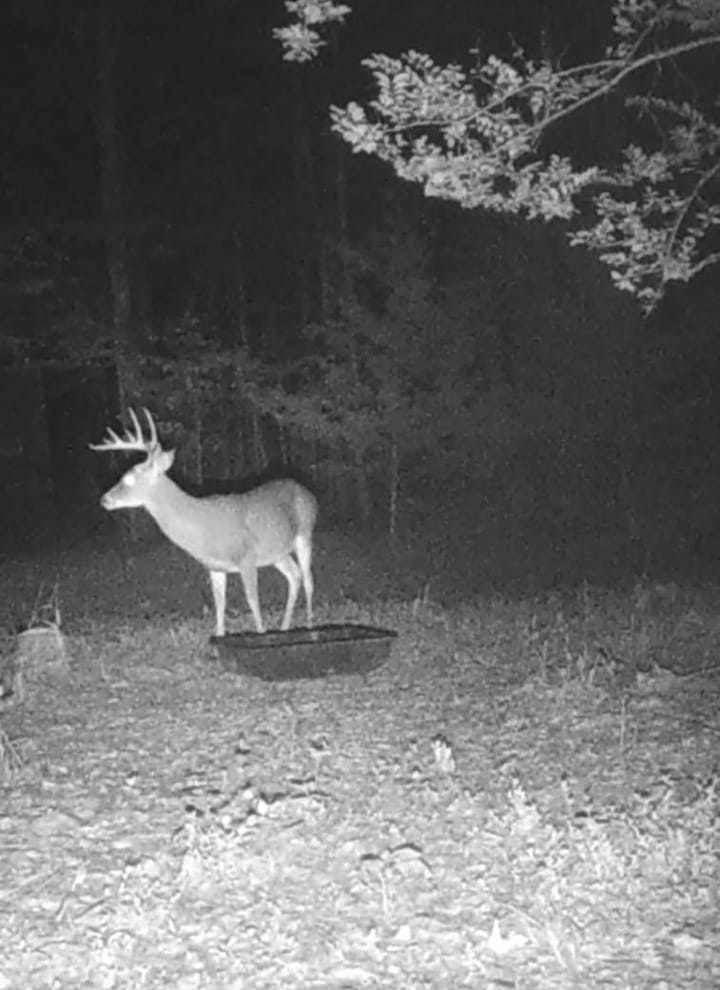 Ba01942f 1553 4d7c 9687 B5f5cf276e3d Jpg