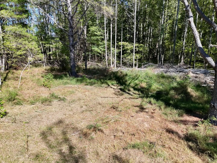 Img 0263 Jpg
