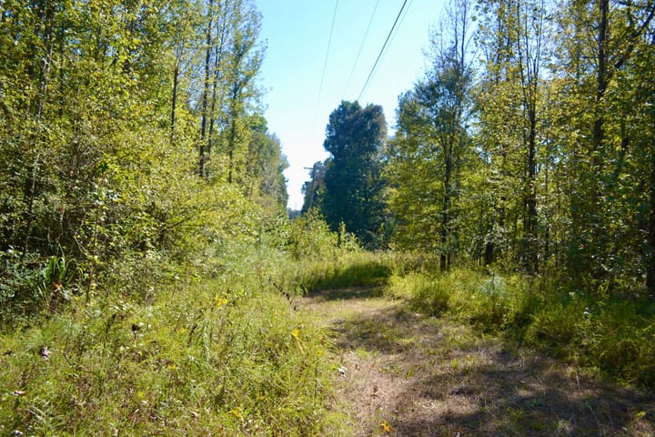 Img 0247 Jpg