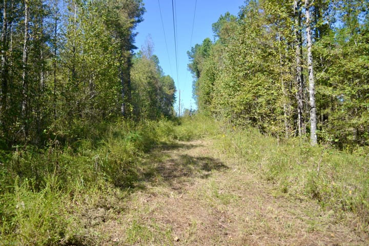 Img 0242 Jpg