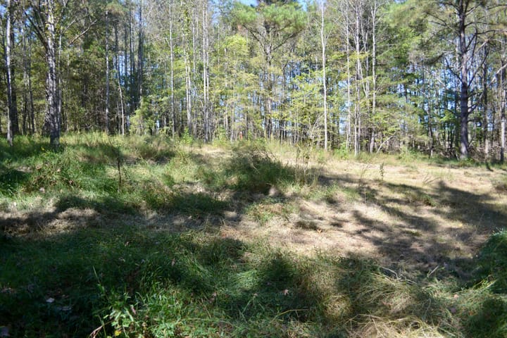 Img 0246 Jpg