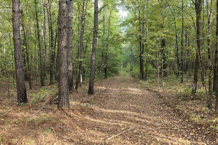 Dji Fly 20261009 164706 0396 1791583146285 Photo