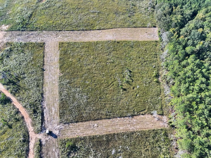 4 Jpg