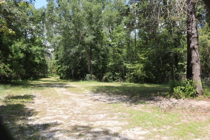 Img 7270