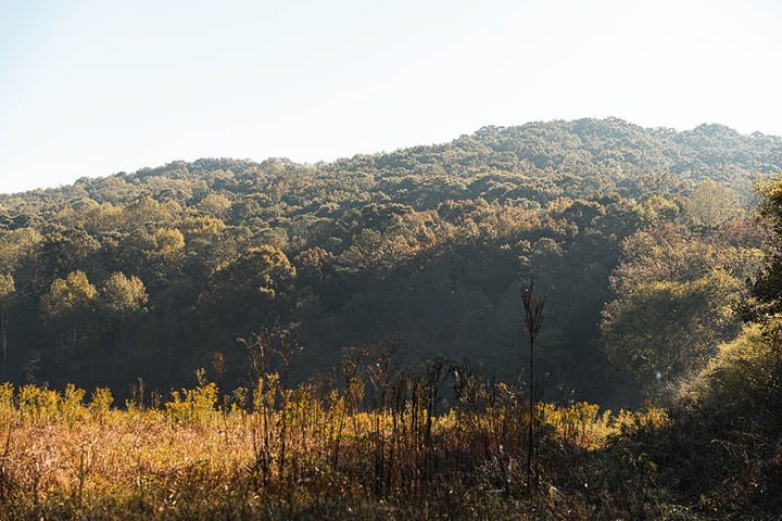 A7406399