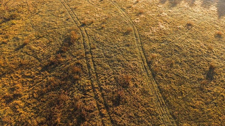 Dji 20261015090800 0053 D