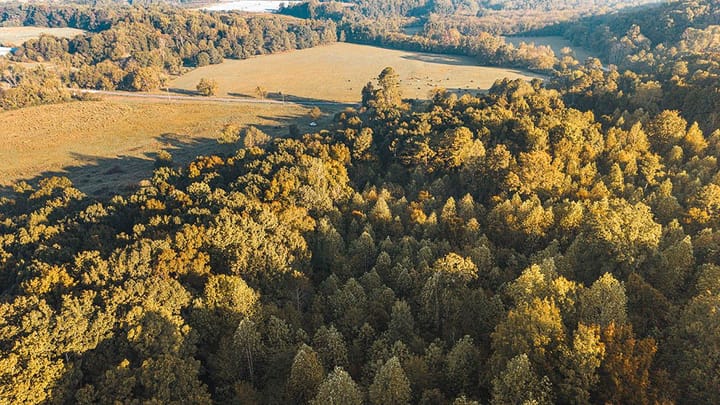 Dji 20261015091031 0064 D